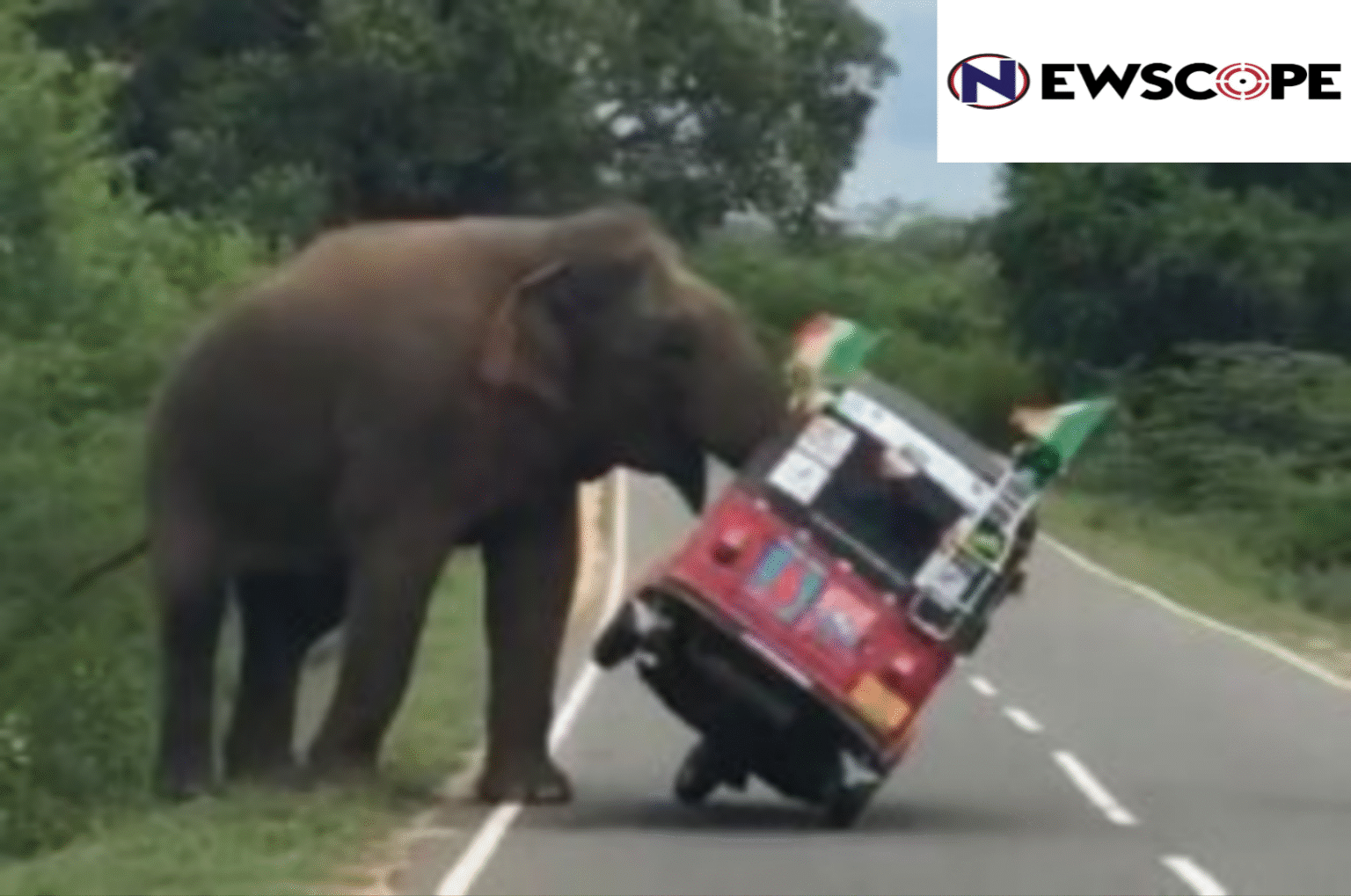 Instead of restoring habitats,Kerala government seeks to amend wildlife act to allow ‘controlled’ killing of animals