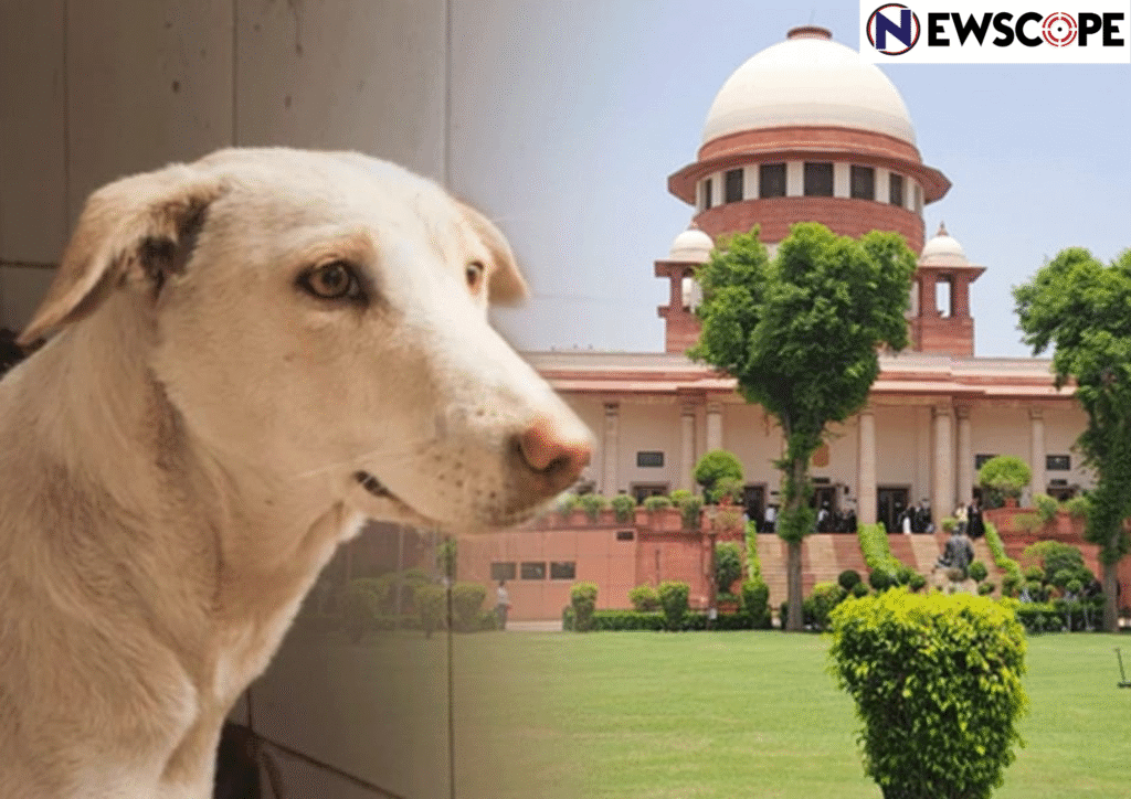 Animal lovers, NGOs all over the country protest against Supreme Court order to remove street dogs from Delhi-NCR Streets