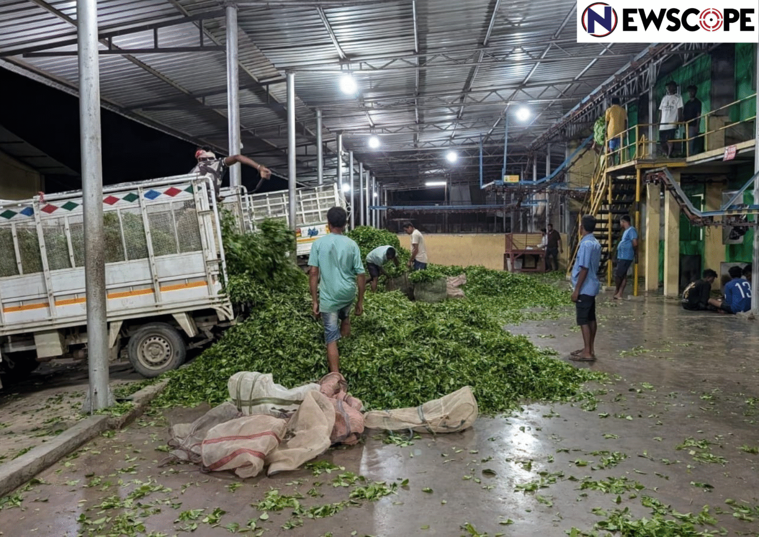 Cheap African tea threatening India’s global market