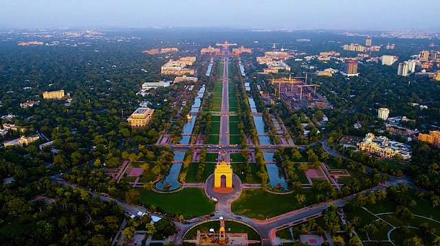 Central Vista Project: 43% of Transplanted Trees Fail to Survive