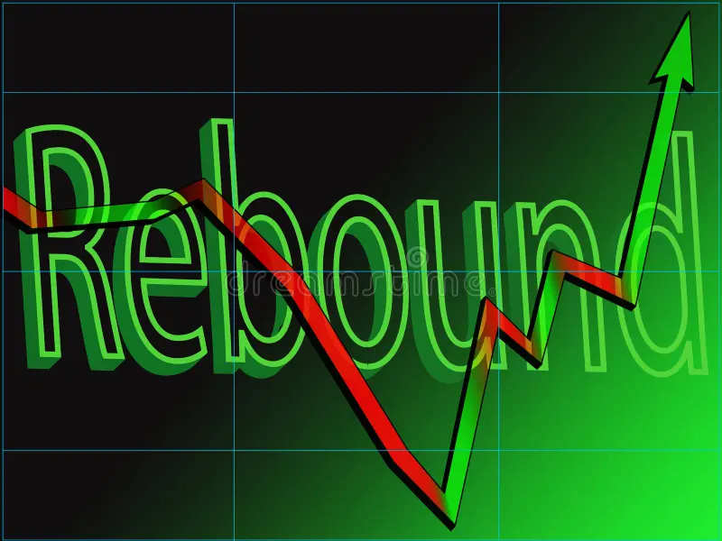 Markets rebound Markets rebound