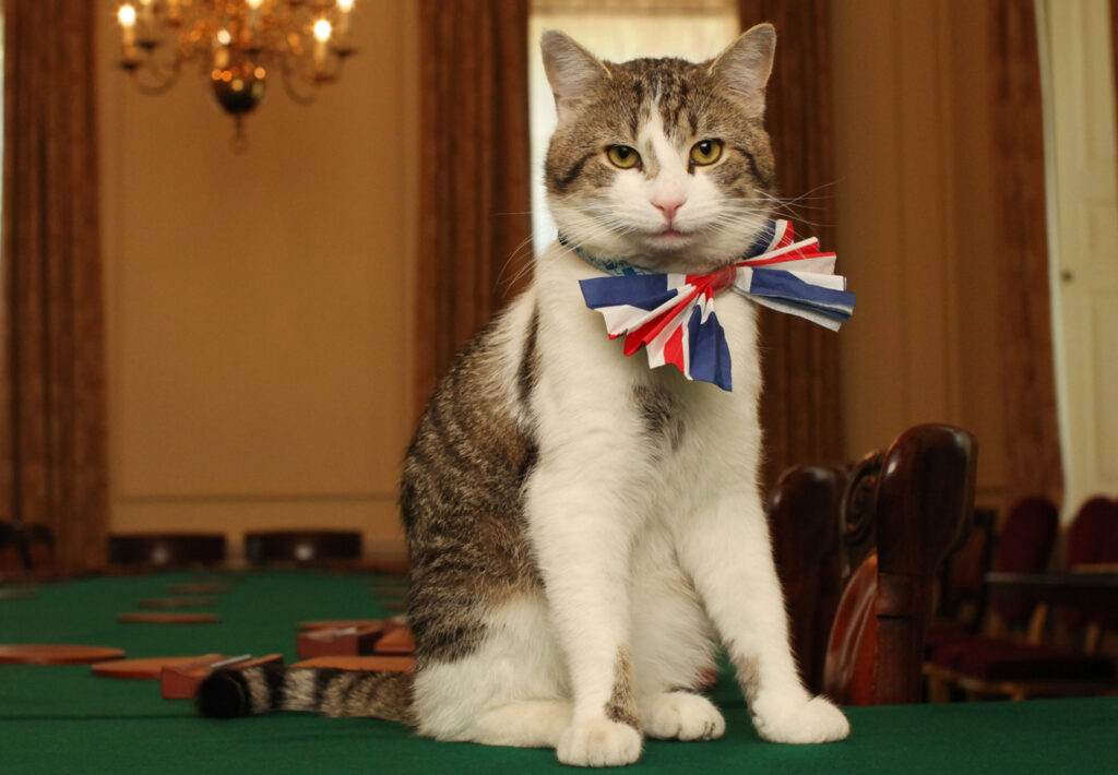 Larry the mouser has outlasted six British Prime Ministers at 10 Downing Street
