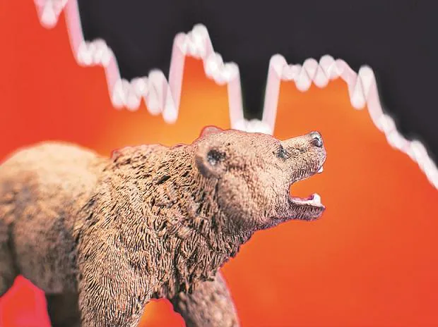 Bear takes hold, after a swing Bear takes hold, after a swing